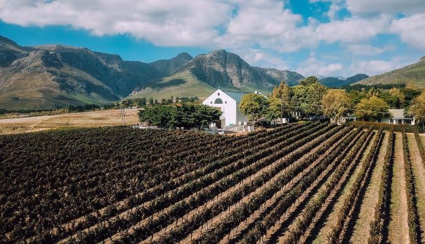 platters_haskell_vineyards_chardonnay