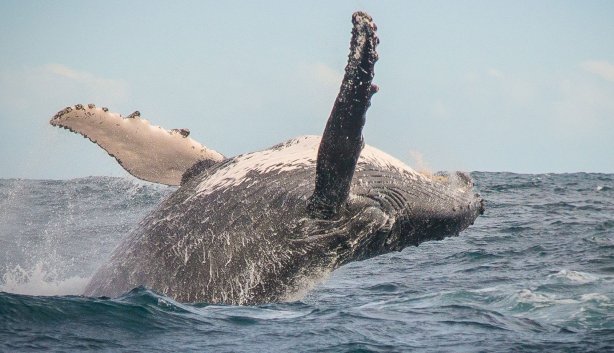 visit knysna new image1 