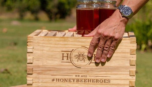 Honeybee Heroes 