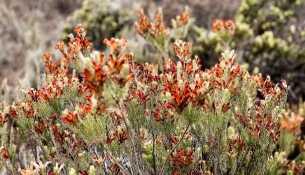 Krom River - @jody.alexander_