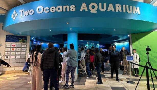 Two Oceans Aquarium prices
