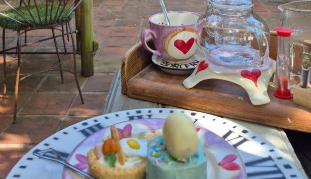 Hidden Dragon Magic Garden