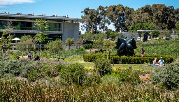 norval foundation 12