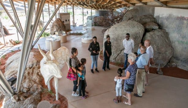 West Coast Safaris 2025 !Khwa ttu