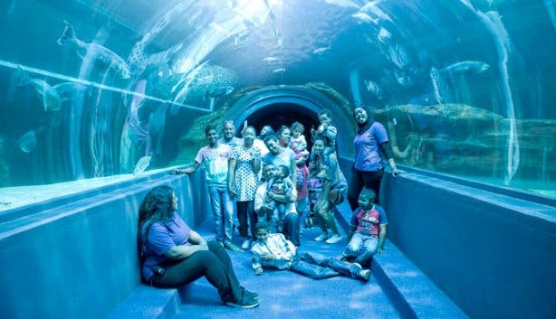 Vista Parties Aquarium Tunnel