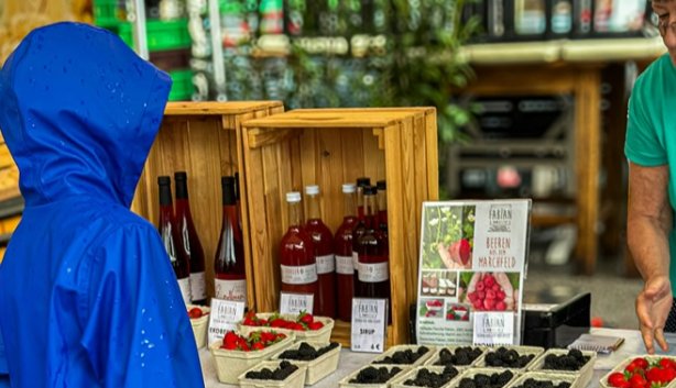 /weekend Mitchells Plain Market