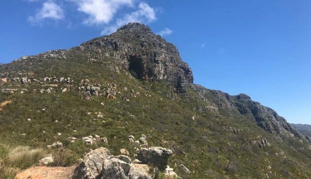 Elephant's Eye NEW 1