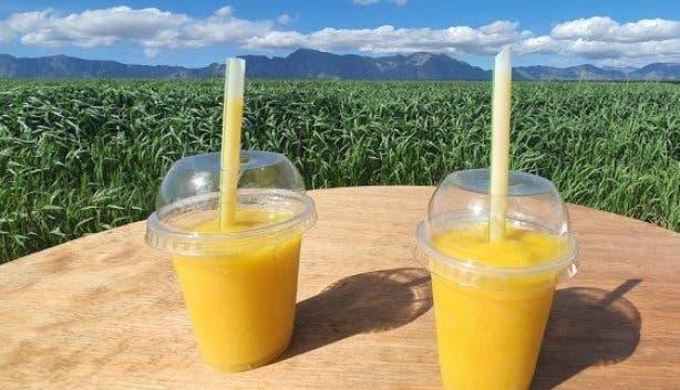 mango-frozen-drink