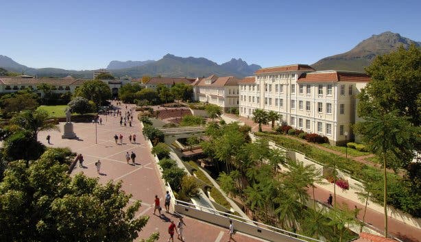 stellenbosch university
