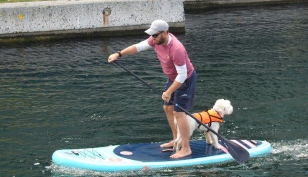 Paddle_For_Paw