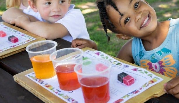 de-tol-kids-tea-pairing