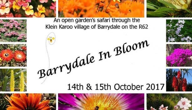 Barrydale in Bloom - 1