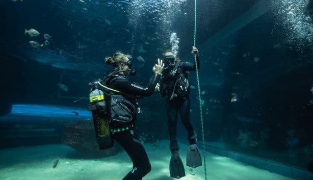 Two Oceans Aquarium 2024