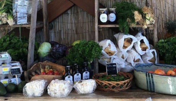 veggie-market-kalk-bay