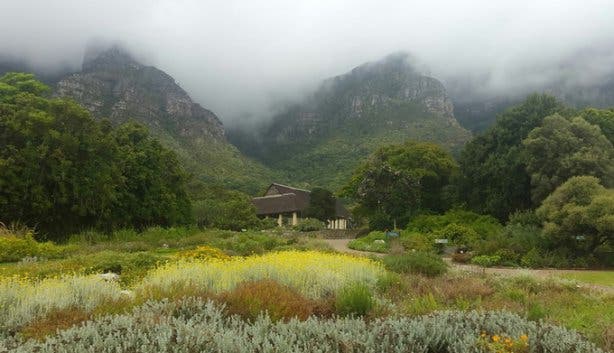 Kirstenbosch Plant Fair 2