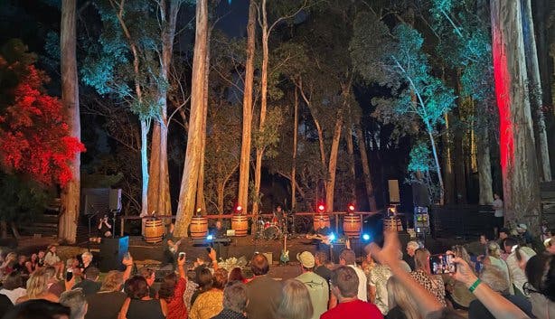 Paul Cluver concerts