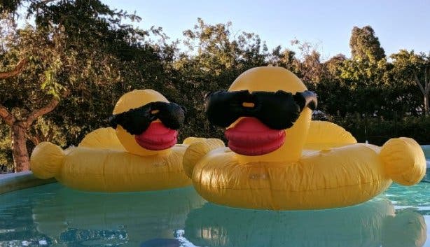 day_at_the_duck_races