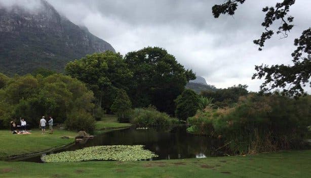 Kirstenbosch - 4