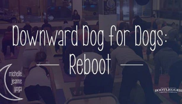 Downward Dog for Dogs - 1