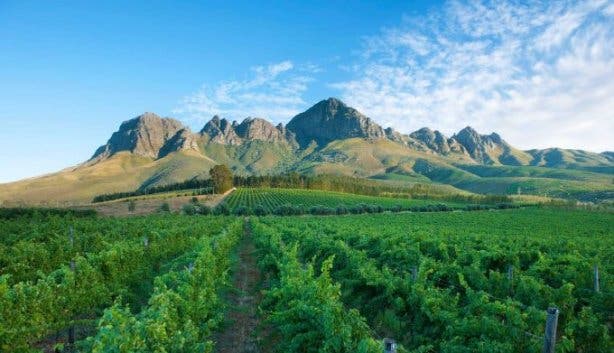 cape_town_experiences_lourensford