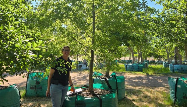 /weekend - Trees South Africa
