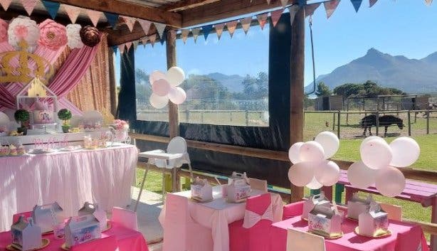 Kids Birthday Venues Petting Zoo