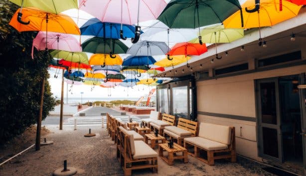 Dutchies Umbrellas