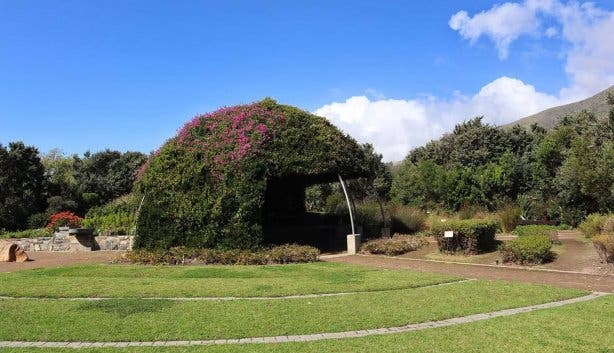 Green Point Park 2025 - @tebogo_pinpin