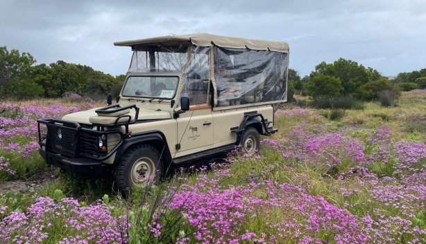 West Coast Safaris recurring event 2025