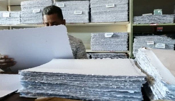 Lulalend_Small_Business_Spotlight_South_Africa_Growing Paper