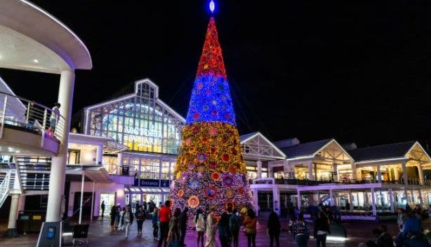 V&A Waterfront Christmas tree