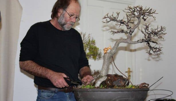 Bonsai Course - 7