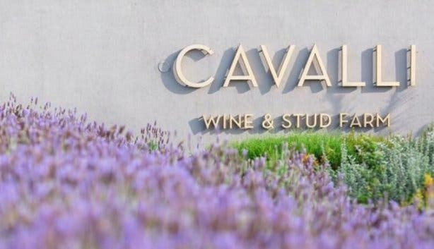 Cavalli Wine Estate and Stud