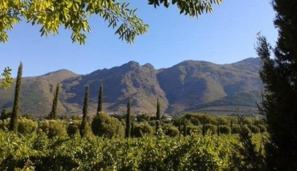 Painterly Group Exhibition at Grande Provence Wine Estate