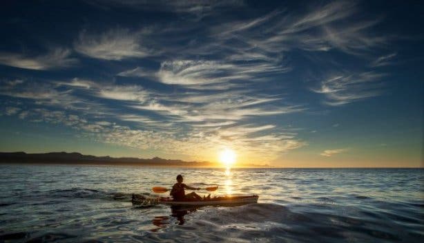 Plett Ocean festival 2025