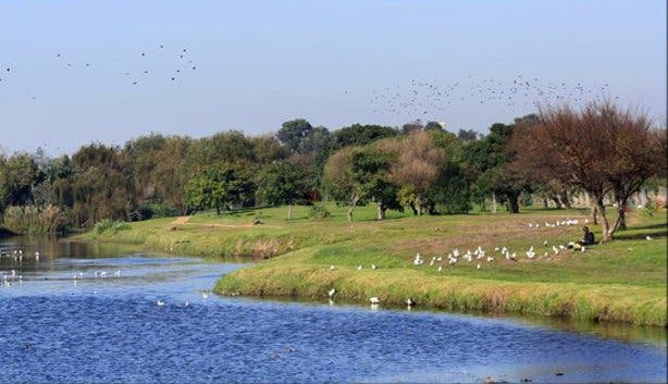 Monthly Liesbeek Clean Up - 3