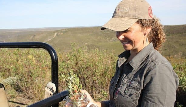 Fynbos Wanderung 