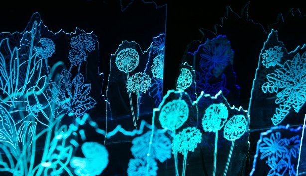 Spier Light Art 2026