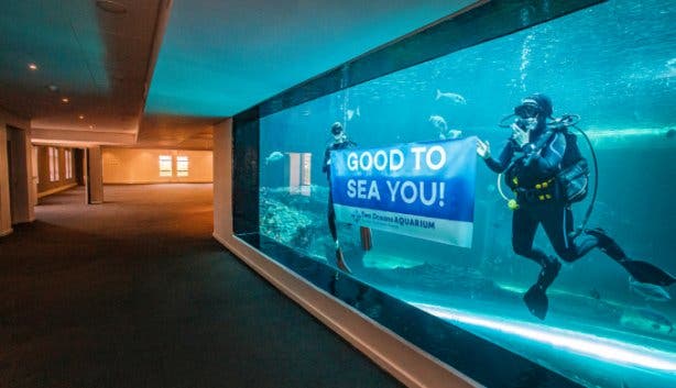 aquarium_avenue