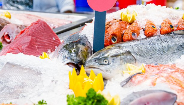 Seafood fest 2026 3