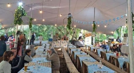 #htmlcaption21 DTE MARKET