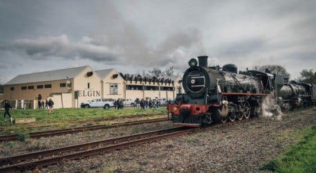 Elgin Market and Train