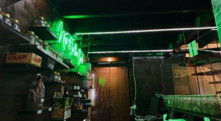 Cannibisters bar