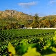 Groot Constantia