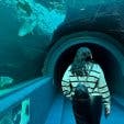 Two Oceans Aquarium tunnel