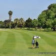 Rondebosch Golf Club 3