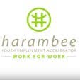 Harambee Youth Employment Accelerator
