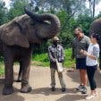 Xplore Tours CT Elephant Sanctuary 3