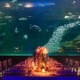 two_oceans_aquarium