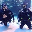 Two_Oceans_Aquarium_Dive_School_Cape_Town